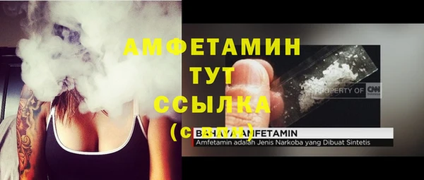 хмурый Алзамай