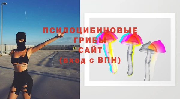хмурый Алзамай