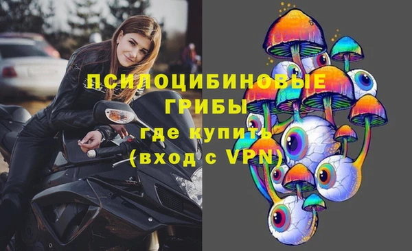хмурый Алзамай