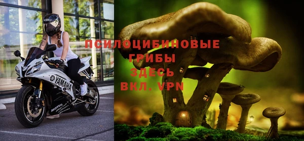 первитин Алексеевка