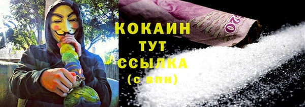 хмурый Алзамай
