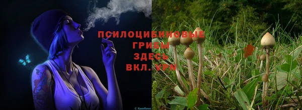 гашиш Зеленокумск