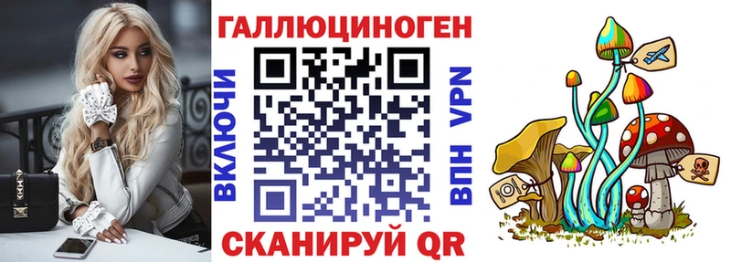 Псилоцибиновые грибы мухоморы Абакан