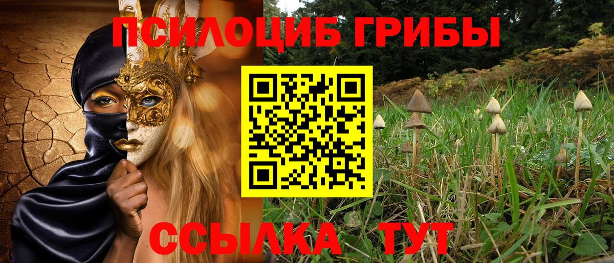Псилоцибиновые грибы ЛСД Абакан