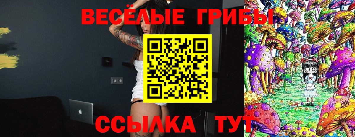 Абакан  Галлюциногенные грибы Cubensis  Вход с VPN 